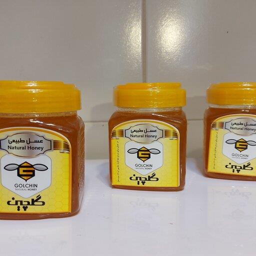 عسل انگبین طبیعی  گلچین خوانسار نیم کیلویی دارای سیب سلامت